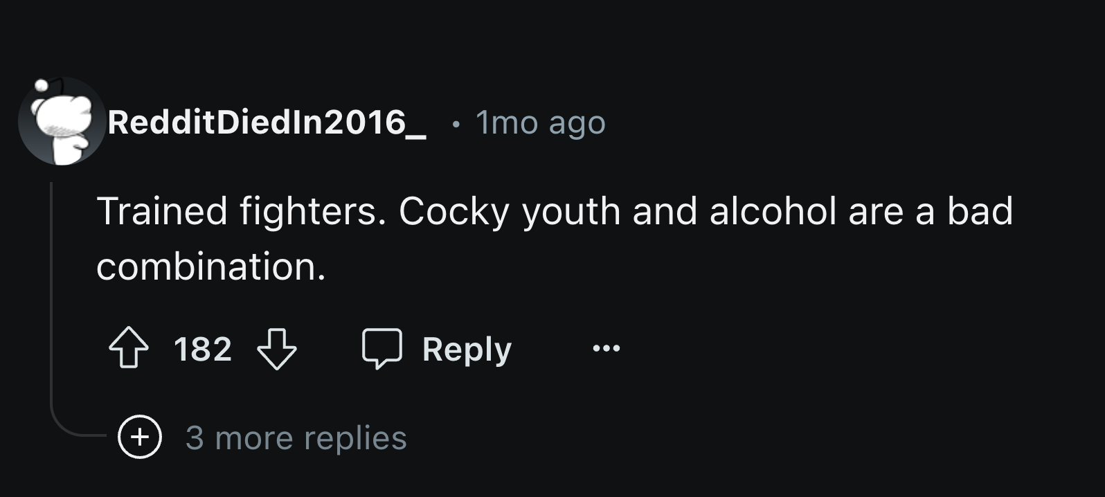 screenshot - Reddit DiedIn2016_ 1mo ago Trained fighters. Cocky youth and alcohol are a bad combination. 182 182 3 more replies